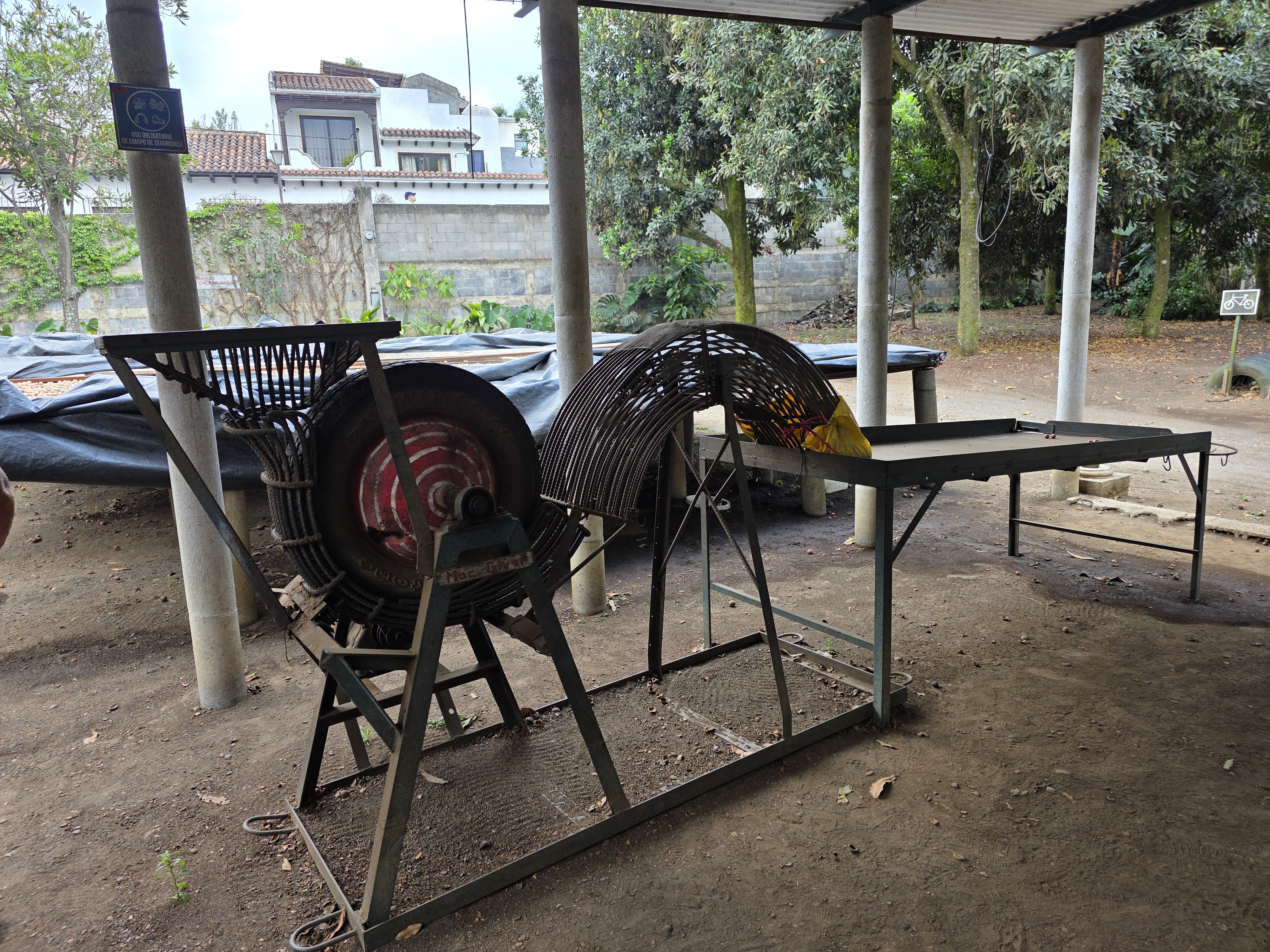 Finca La Macadamia